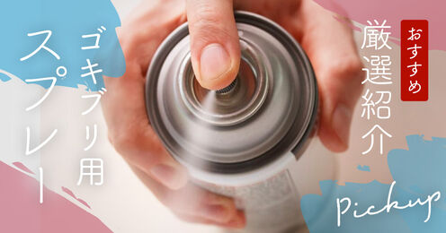 ゴキブリ用スプレー記事メイン画像