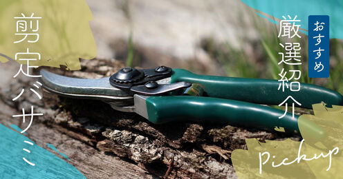 剪定バサミ記事メイン画像