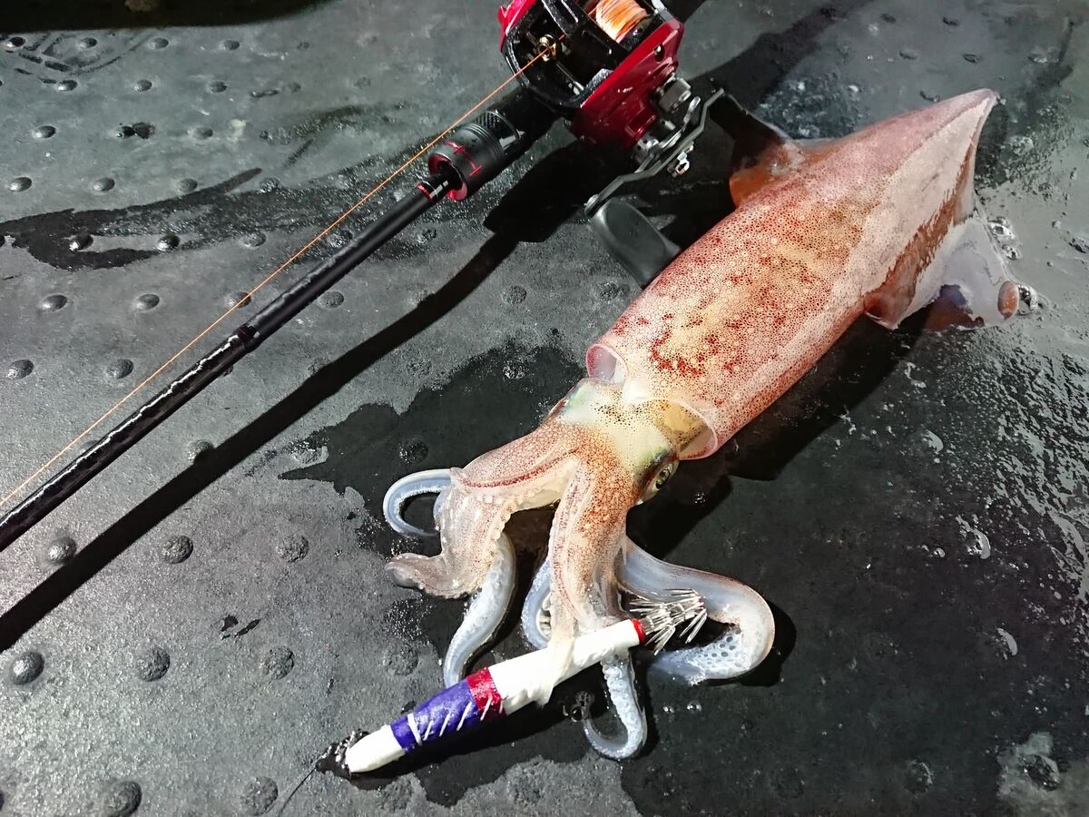 イカメタルロッド