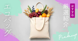 【2025年秋】エコバッグのおすすめ15選！おしゃれで機能的な人気ブランドも紹介の画像