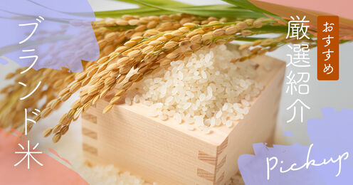 ブランド米記事メイン画像