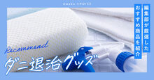 ダニ退治グッズ記事メイン画像