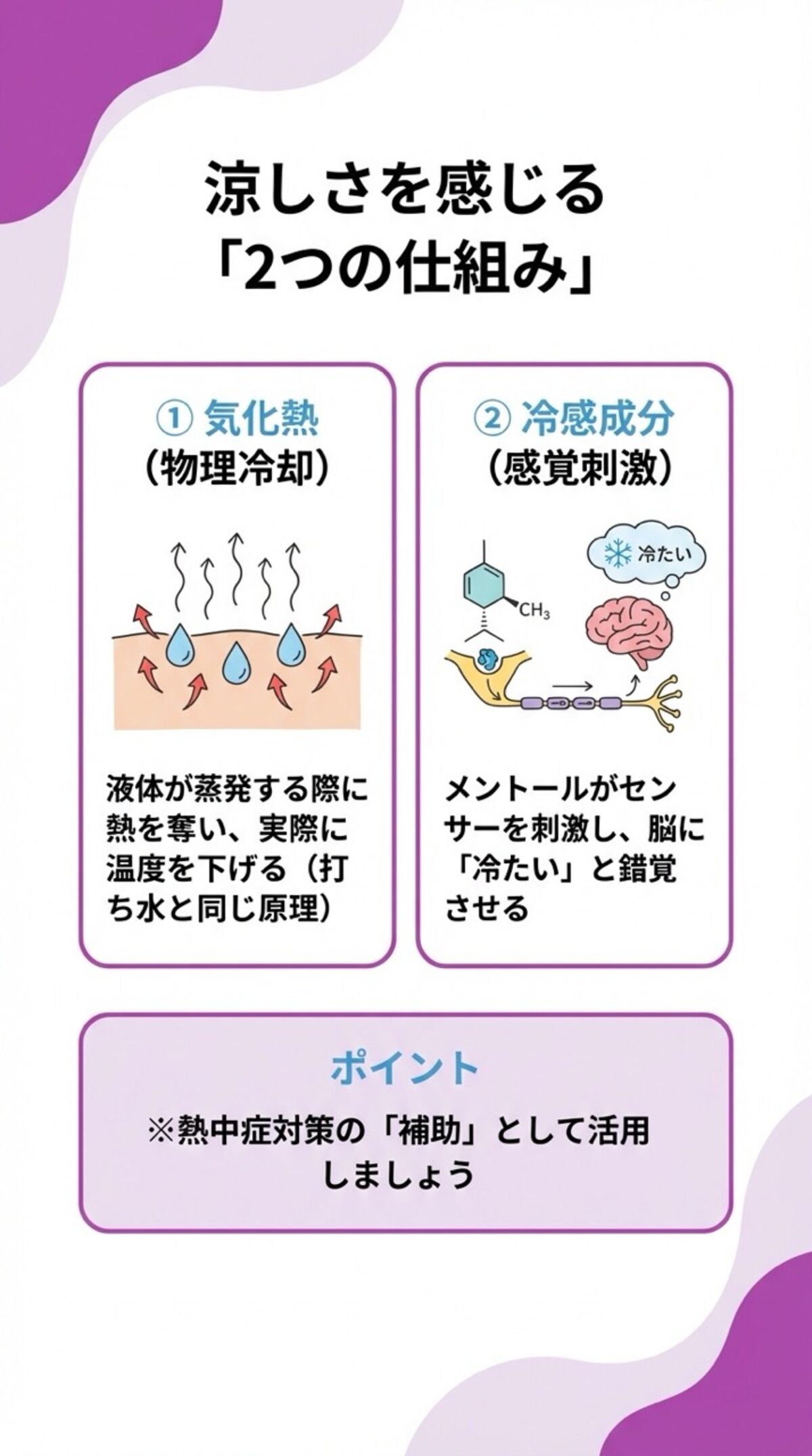 涼しさを感じる2つの仕組み