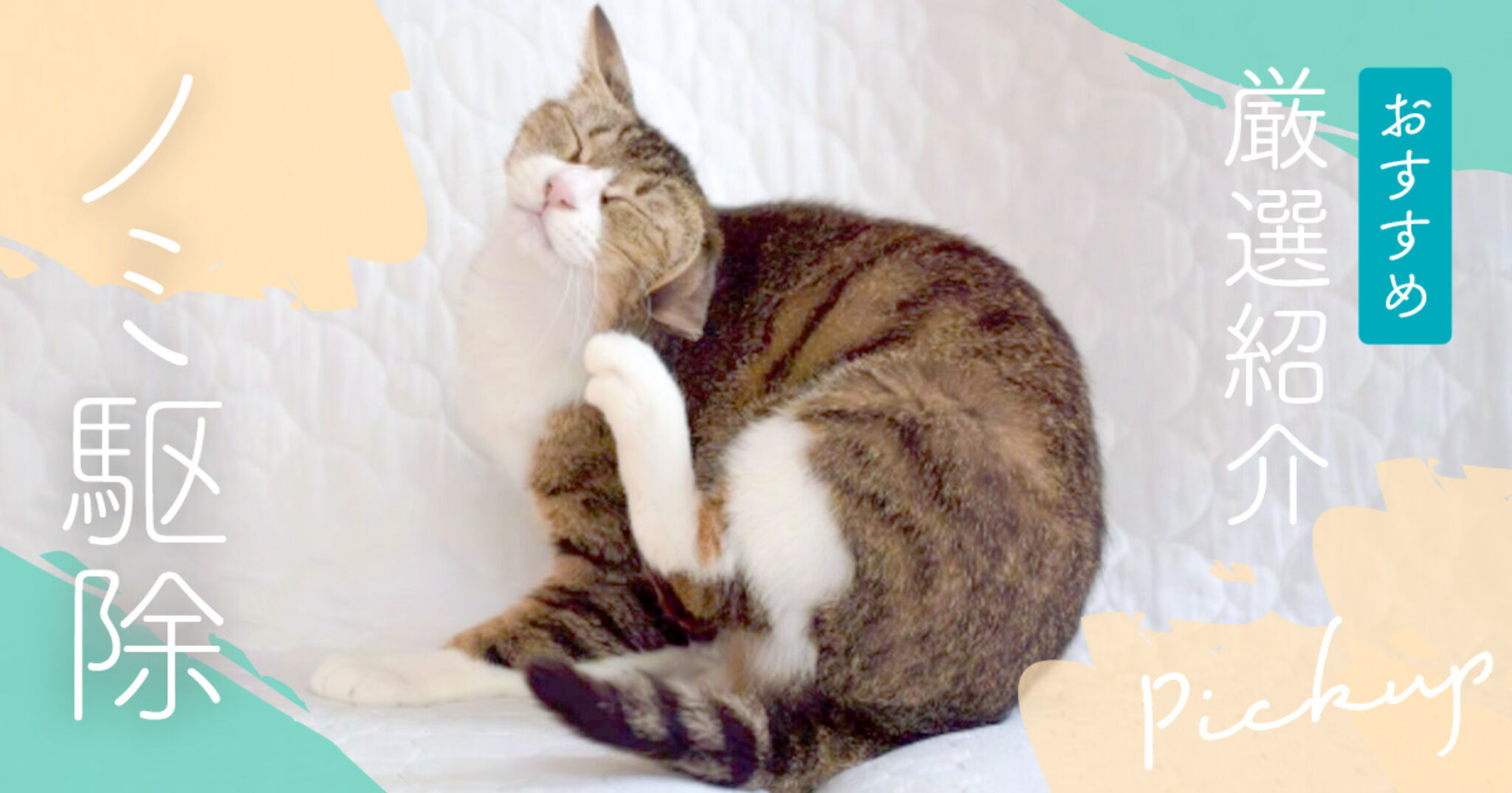 ノミ駆除のおすすめ6選！猫や犬が快適に過ごせる部屋のノミ対策を解説