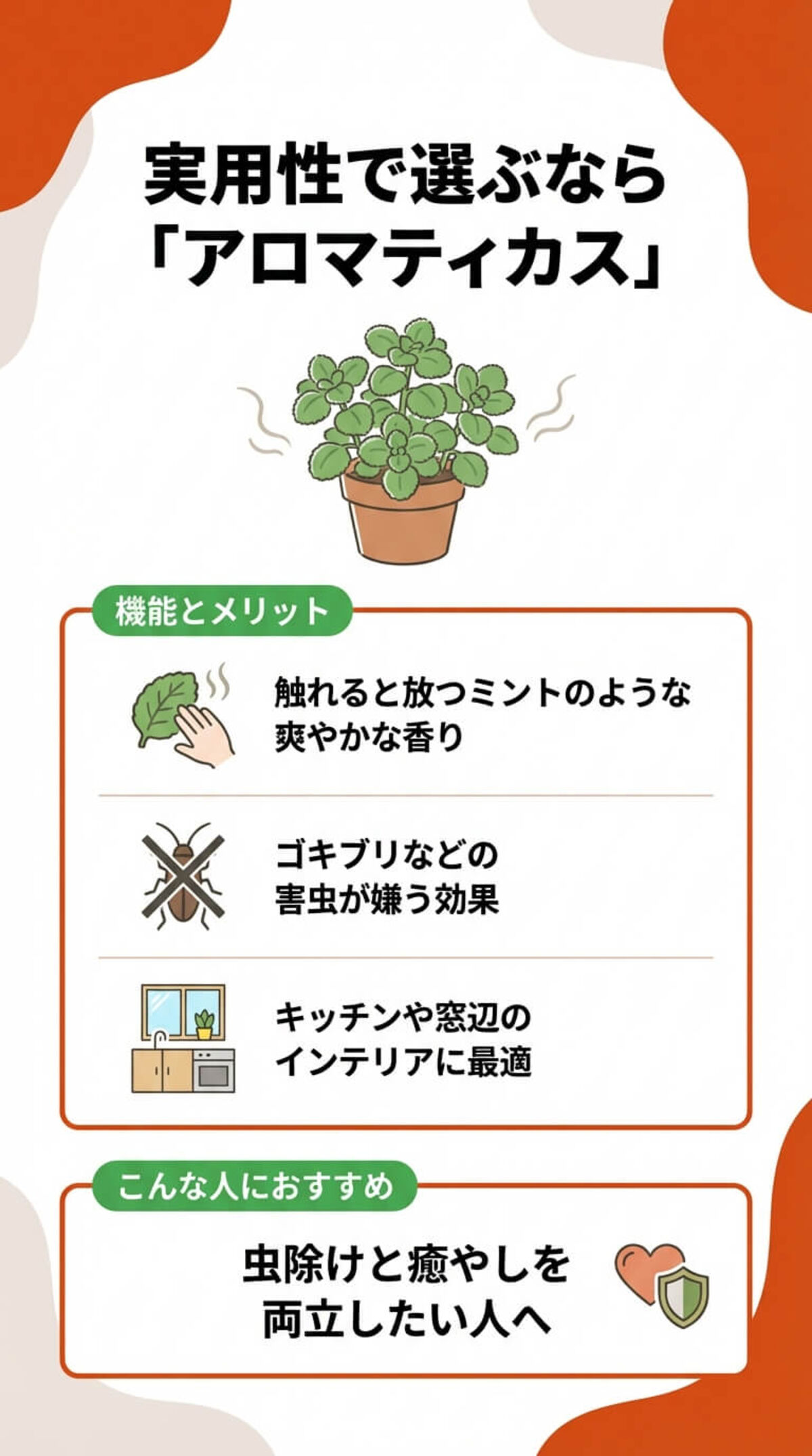虫除けになる多肉植物