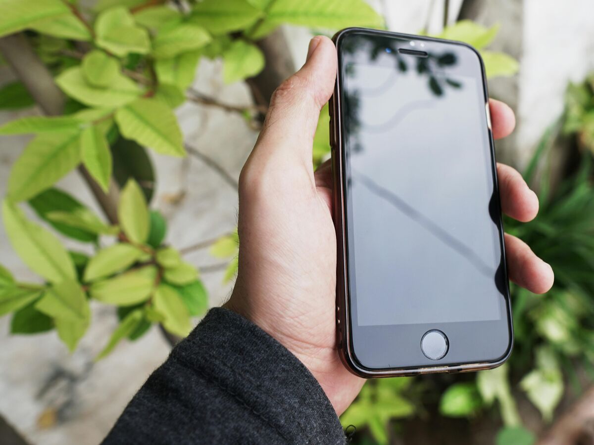 植物にスマホを向ける人