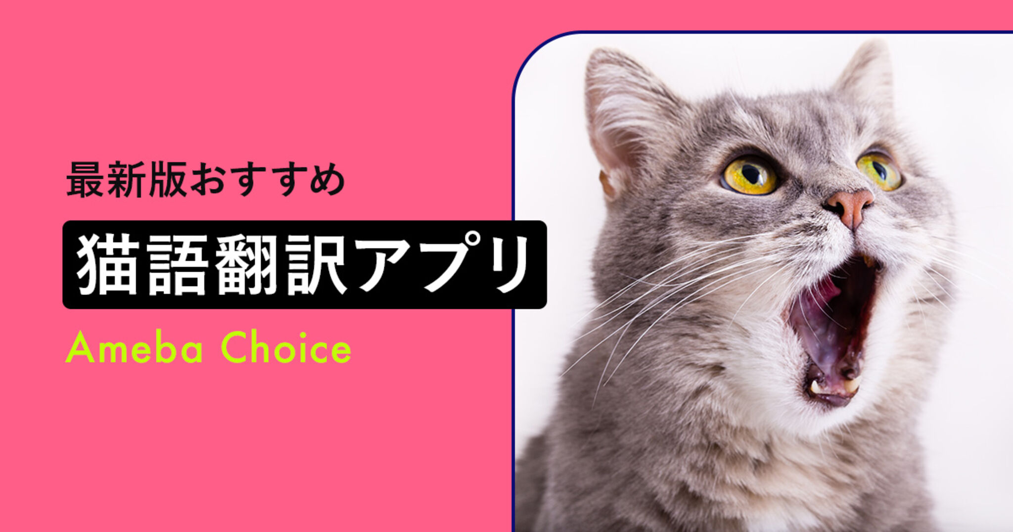 猫語翻訳アプリ無料おすすめ
