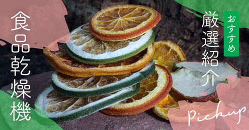 食品乾燥機記事メイン画像