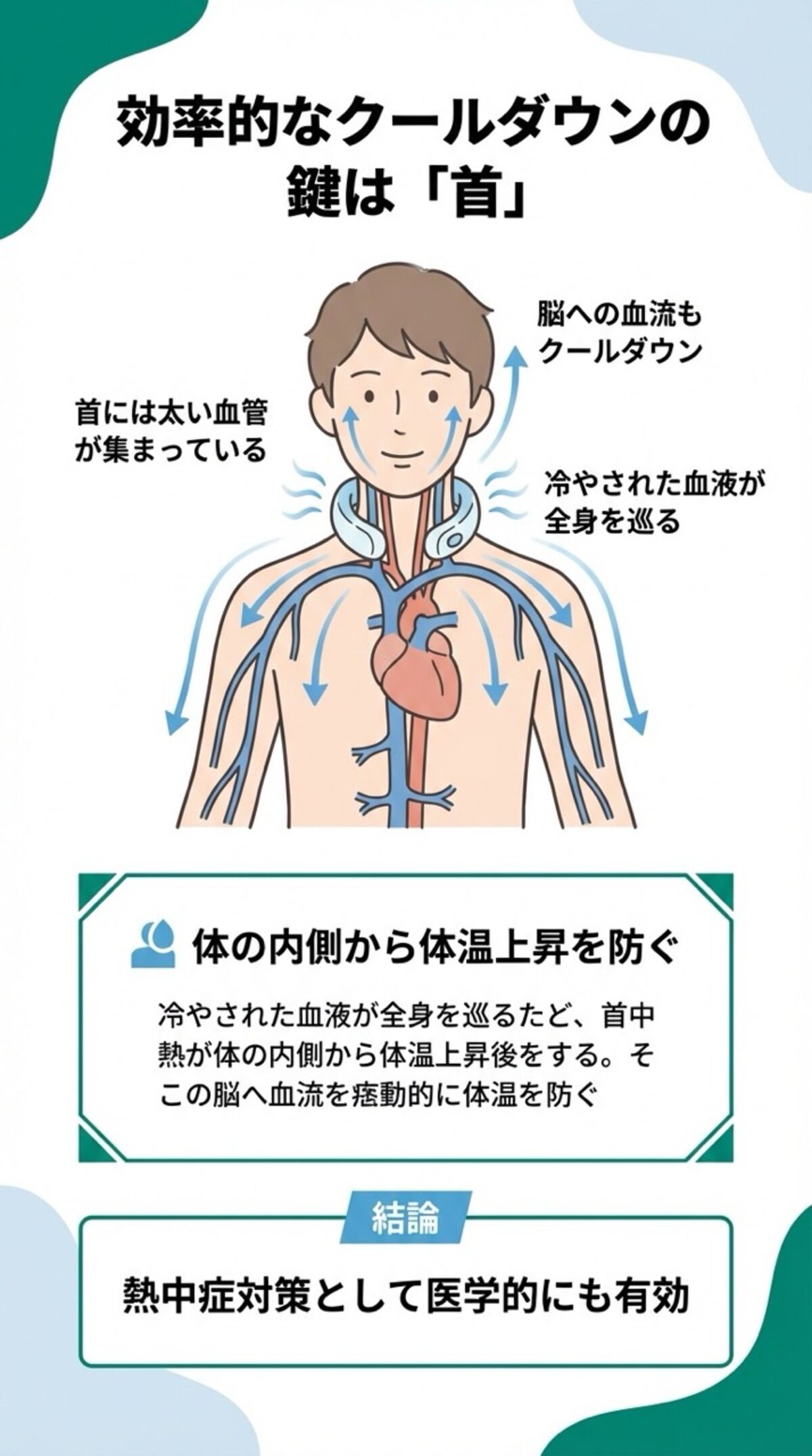 効率的なクールダウンの鍵は首
