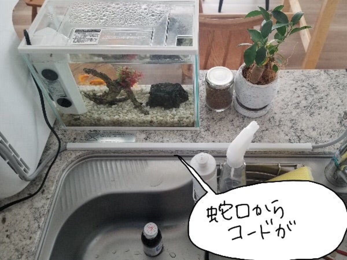 ウォータースタンドの配線