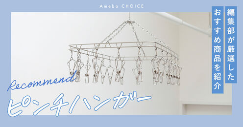 ピンチハンガーのおすすめ記事メイン画像