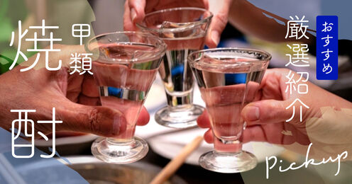 甲類焼酎のおすすめ