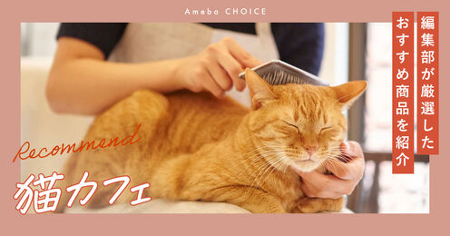 猫カフェ記事メイン画像