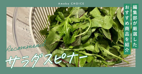 サラダスピナー記事メイン画像