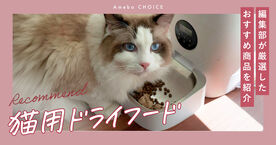 猫用ドライフードのおすすめ17選！目的別の商品や悩み別・ライフステージ別の選び方を紹介の画像