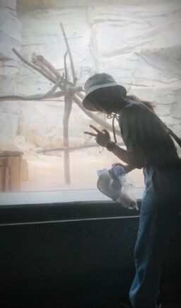 Miyabiのプロフィール画像