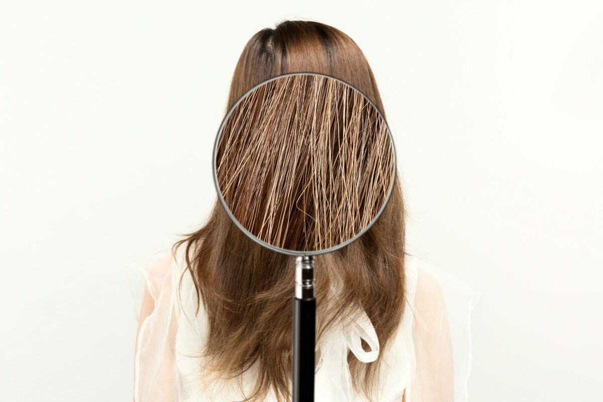 髪のダメージレベル