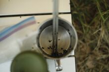 アリ退治グッズ