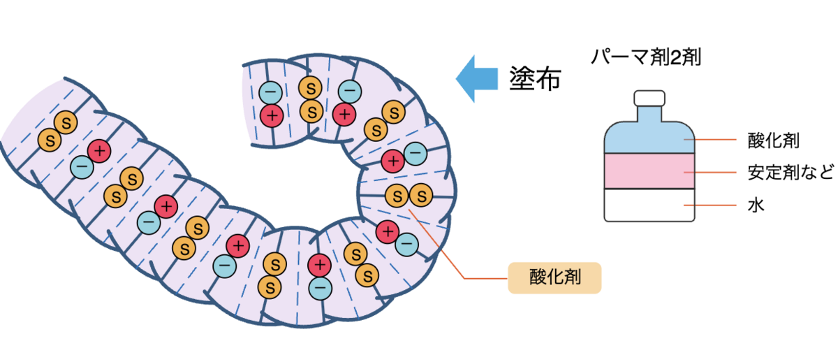 2剤
