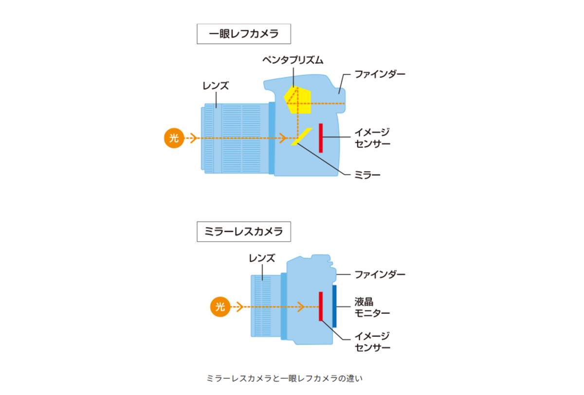 ミラーレスカメラと一眼レフカメラの違い