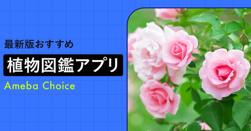 植物図鑑アプリおすすめ記事メイン画像