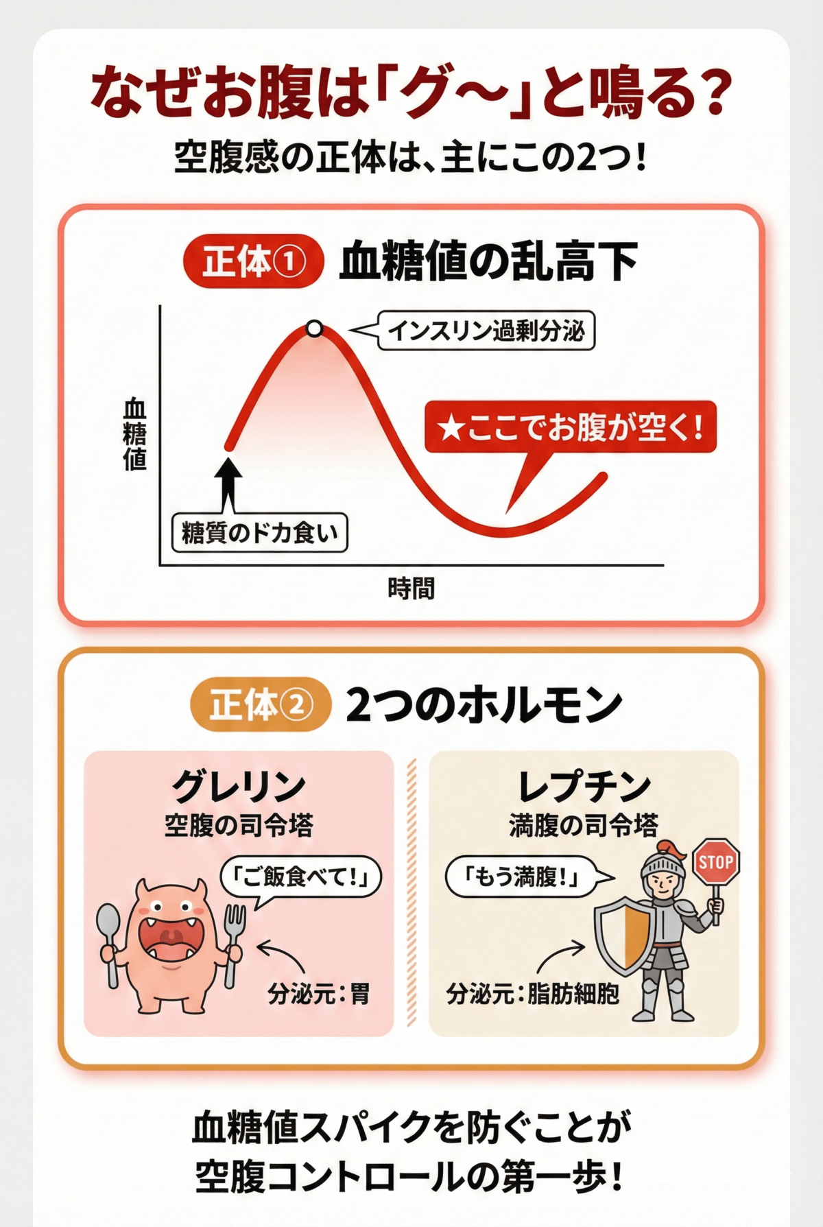 お腹が空く仕組み