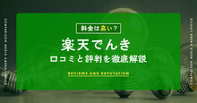 楽天電気_高い