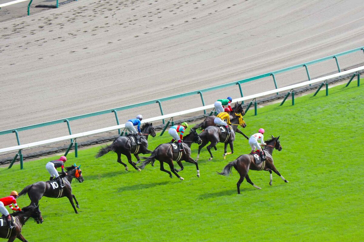 競馬場の画像