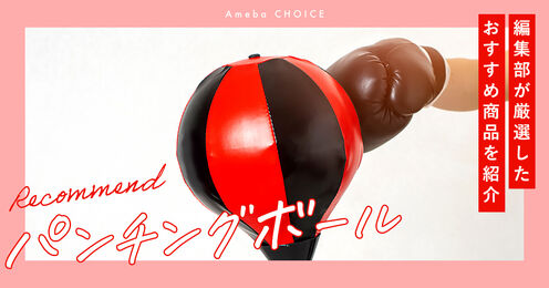 パンチングボール記事メイン画像