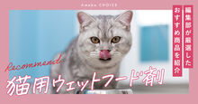 猫用ウェットフード記事メイン画像