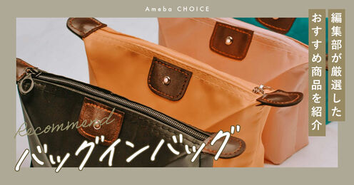 バッグインバッグ記事メイン画像