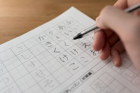 ボールペン字練習帳のおすすめ8選｜「書体」と「脳タイプ」で選べば挫折しない！失敗しない選び方と上達のコツの画像