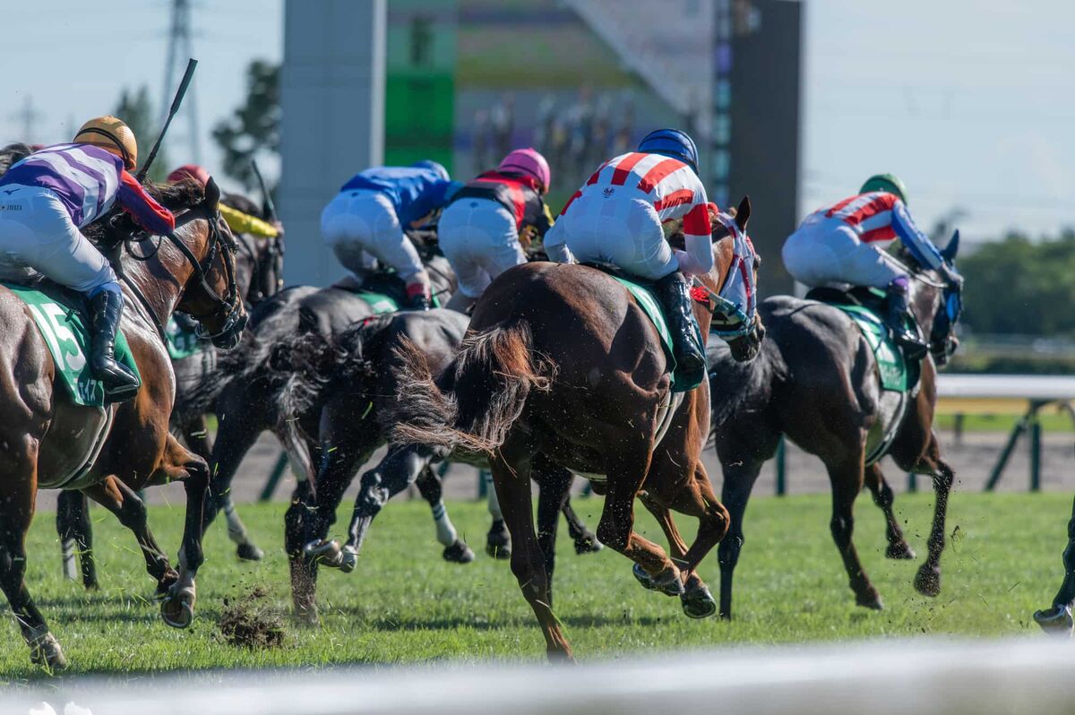 競馬の画像