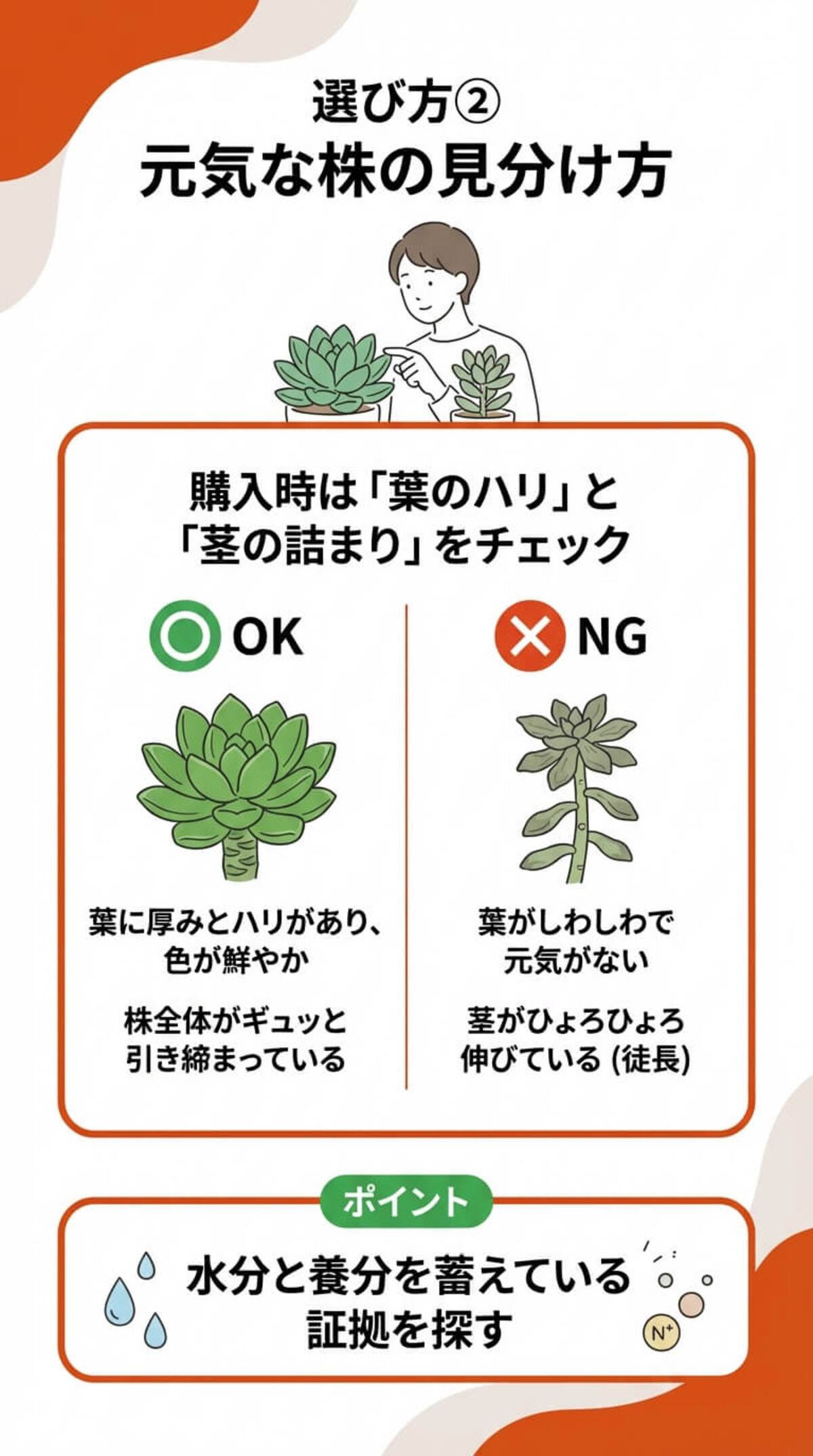 選び方② 株の状態で選ぶ
