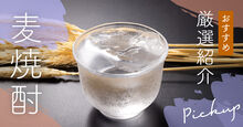 麦焼酎のおすすめ