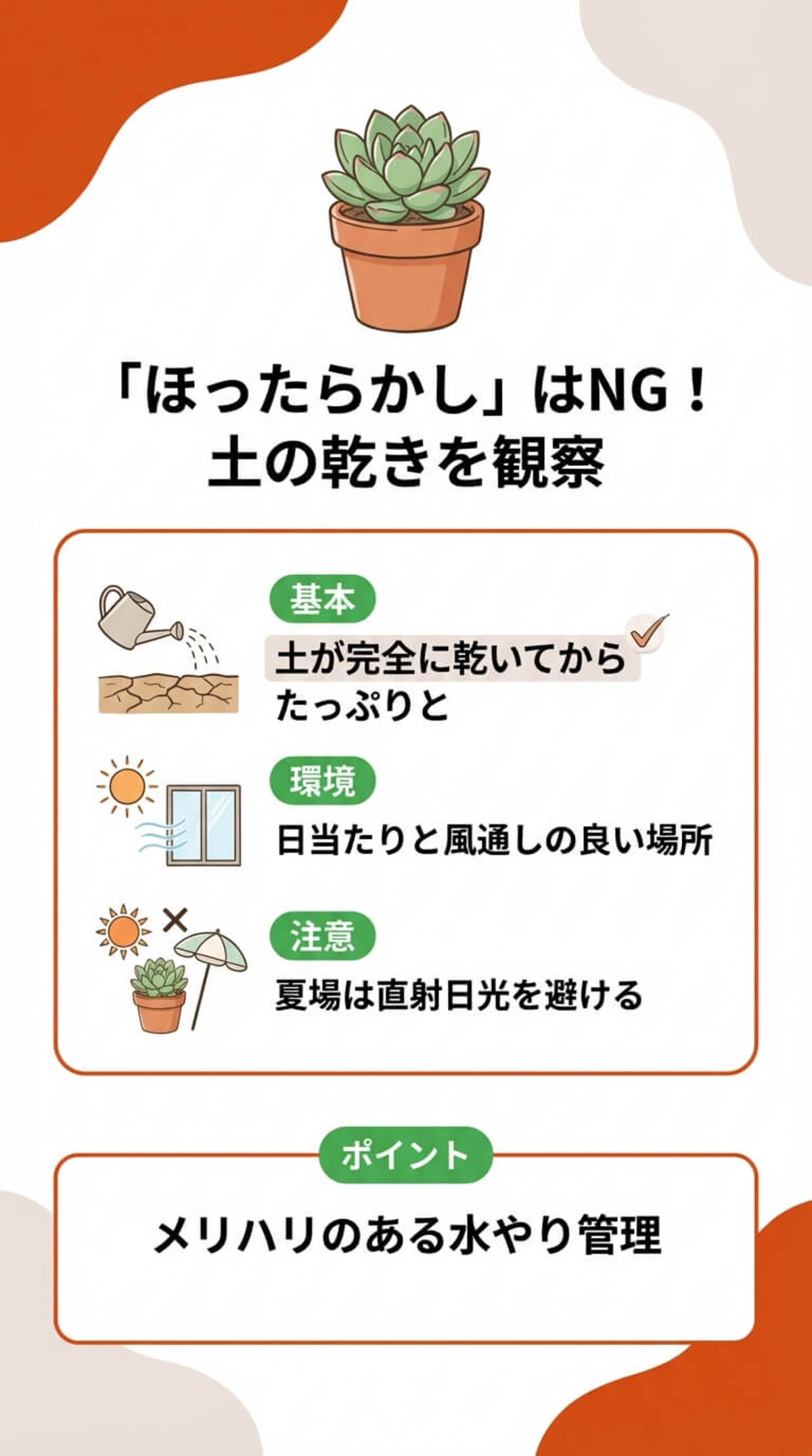初心者必見！多肉植物の育て方