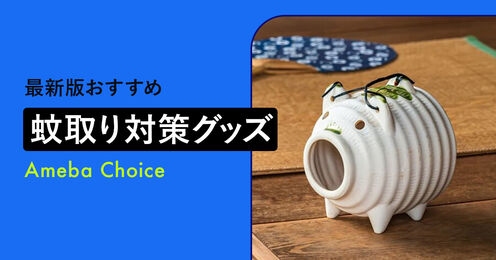 蚊取り対策グッズ記事メイン画像