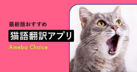 【2025年】猫語翻訳アプリのおすすめ7選｜スマホで愛猫の気持ちがわかるの画像