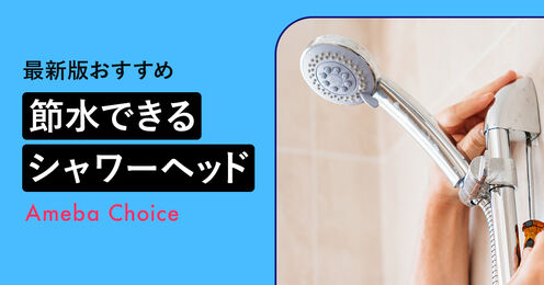 節水シャワーヘッド_kv