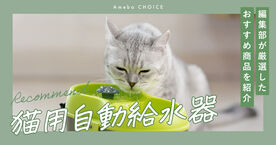 猫用自動給水器おすすめランキング8選！コードレス・洗いやすさで徹底比較の画像