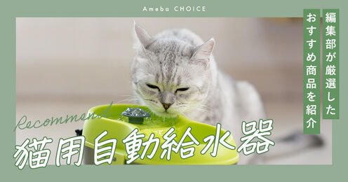 猫用自動給水器記事メイン画像