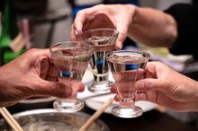 甲類焼酎のおすすめ