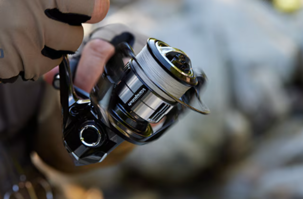 ヴァンキッシュ