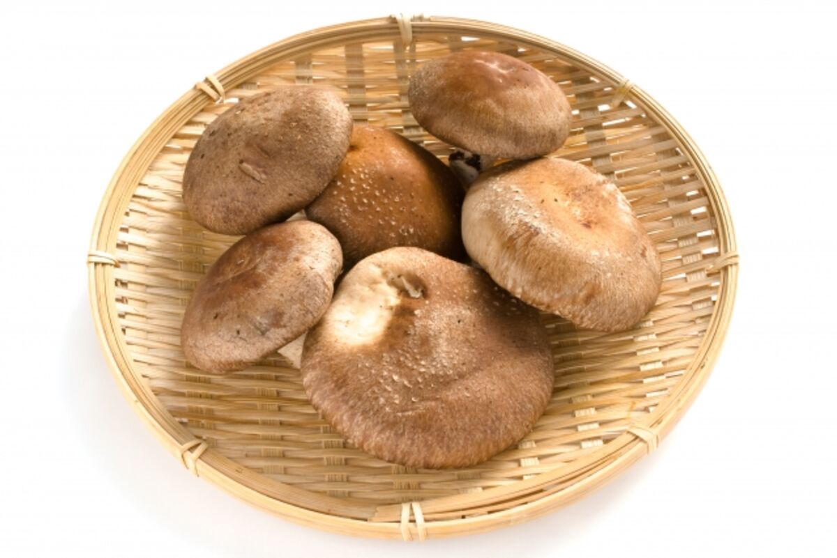 椎茸